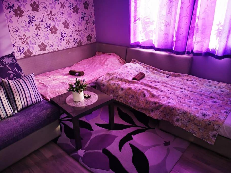 Apartment Lavender, Near To Airport Szófia Kültér fotó